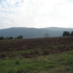 Land near Country Home Resort Khao Yai