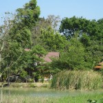 Khao Yai land near Chateau De Khao Yai