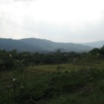 Phoo Tong Ton 1