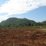 Baan Rai 14 1