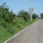 Thanon Khao Yai Kiang Dao 1