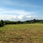 Khao Yai Land View 2 rai 113 sq wah