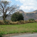 Land in Khao Yai 2 plots each 200 square wah