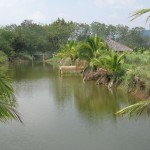 ที่ดิน 67 ไร่ ติดถนนขายเหมายกแปลงราคาถูก